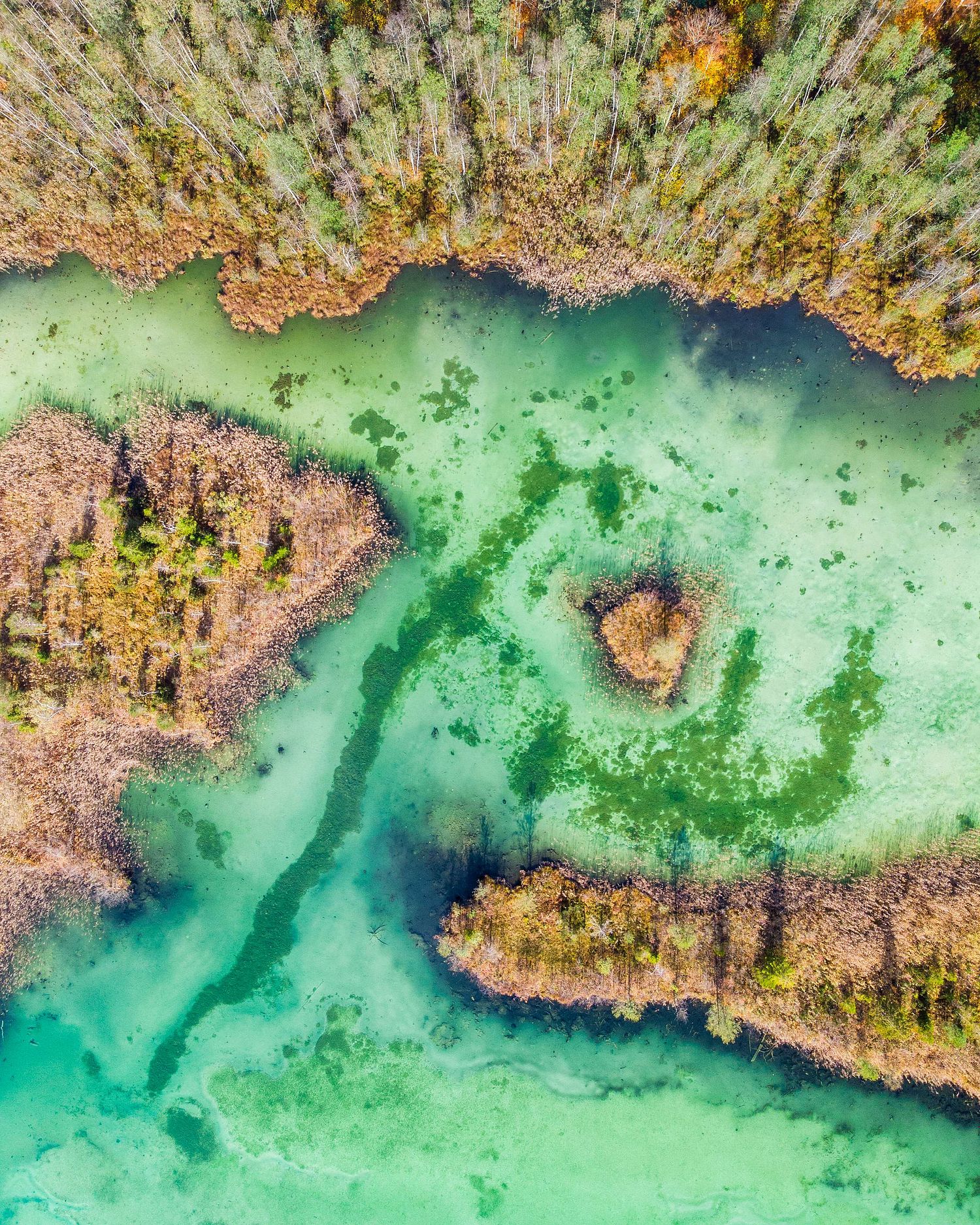Alpine lake