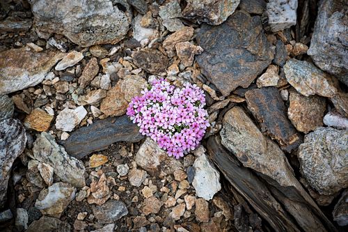 Oberengadiner Landschaft