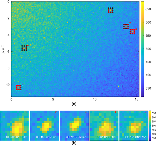 Method for measurement of collagen monomer orientation in fluorescence microscopy (Alzola et al.)