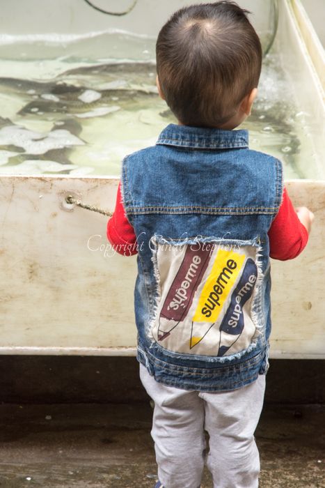 Chinese boy with back to camera watching fish
