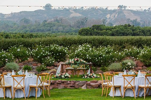 Savannah wedding photography venue