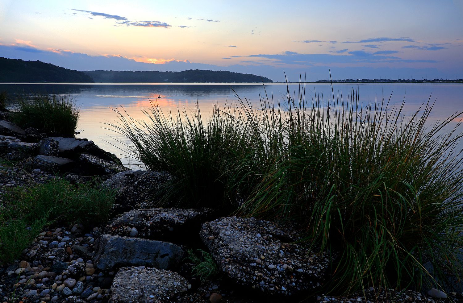 ALISON PERRY PHOTOGRAPHY