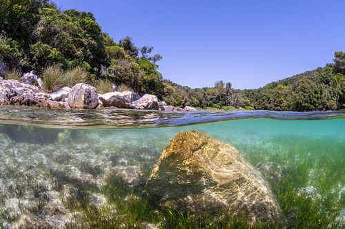 Croatian bay with seagrass