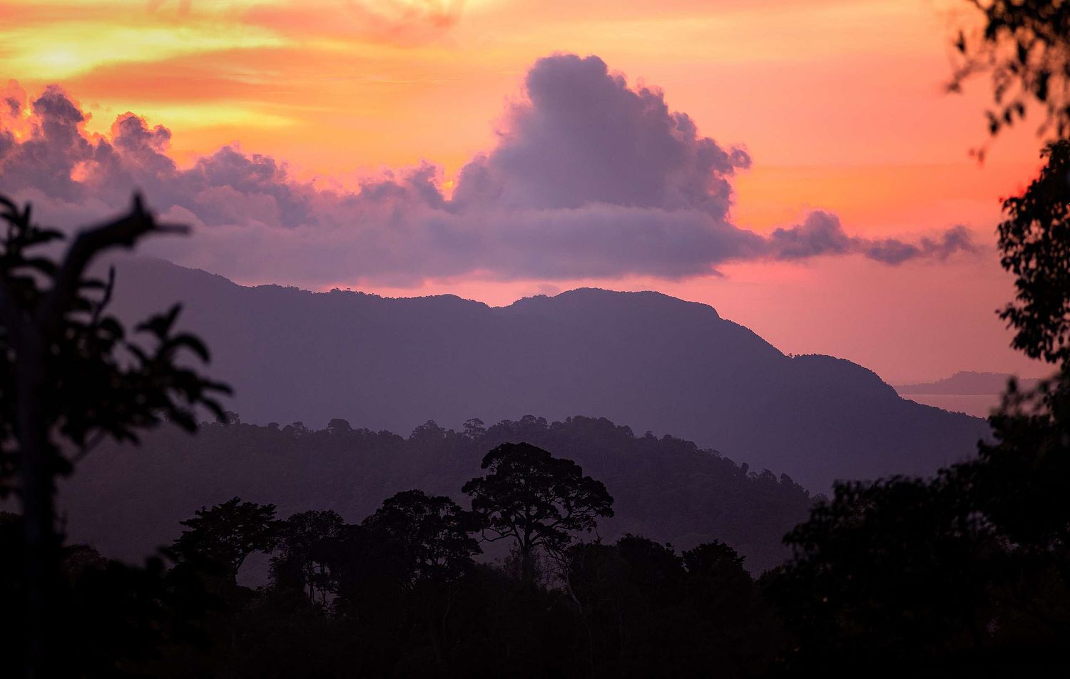Sonnenuntergang im Regenwald