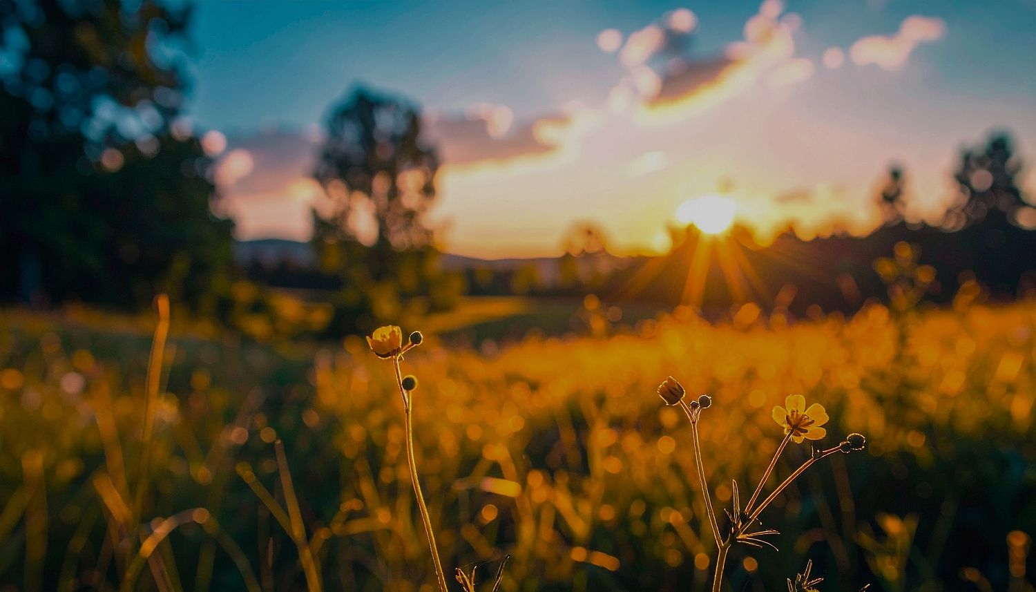 Flourish with Fatigue