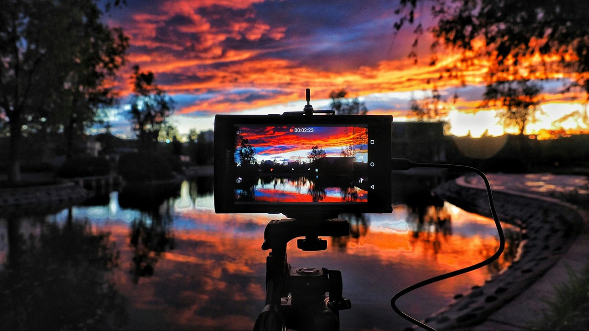 tomando una fotografía de la naturaleza