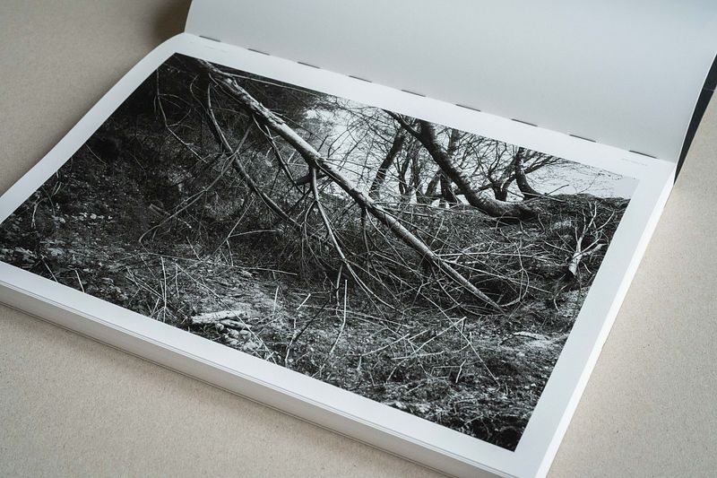 The Killing Ditch - Unsigned